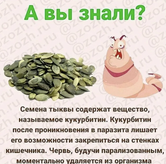 Тыквенные семечки в чем польза для организма