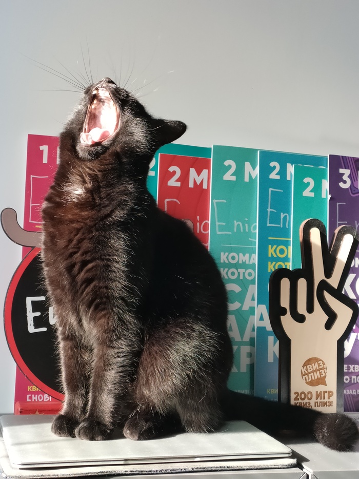 Ответ nstvsn в «Все котов постят вот и я запощщу»