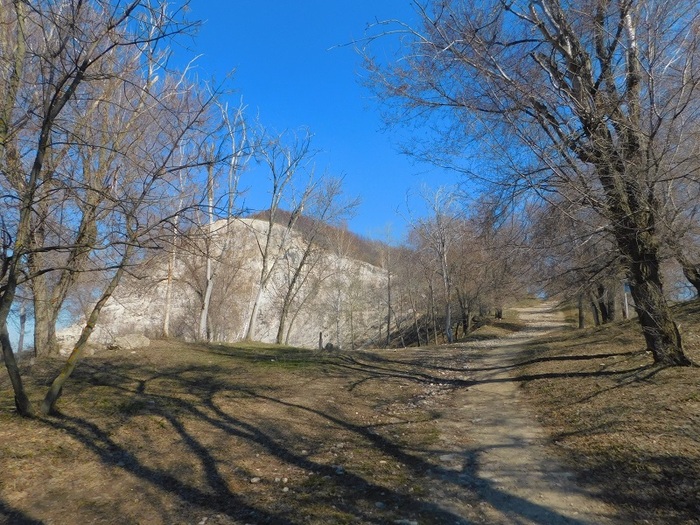  -      ( ). : &nbsp; 