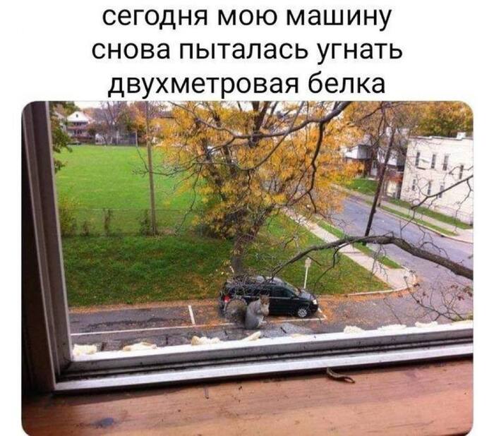 +1 фобия всем живущим рядом с парками