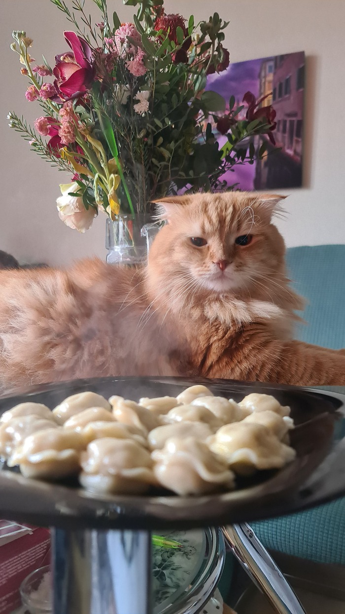 ����� �� ���� ���� ����� ������ ��� � � �������