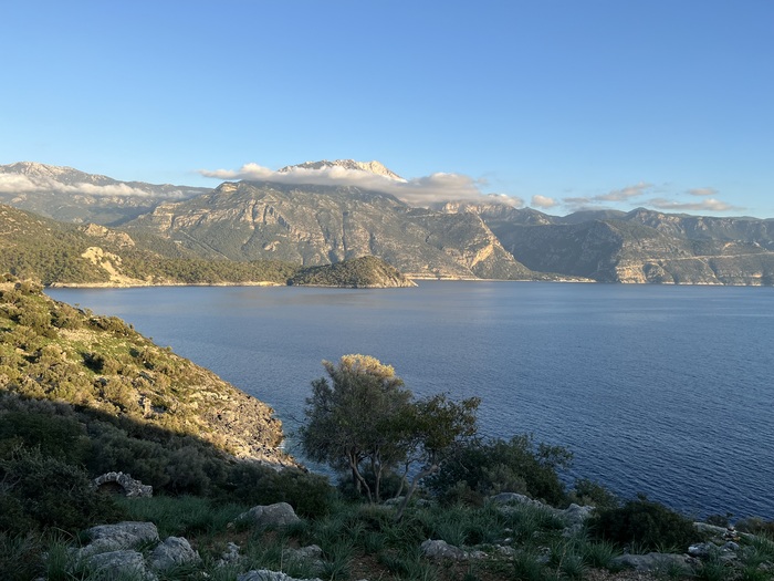    - (  )      .   2023.      15 -  2 