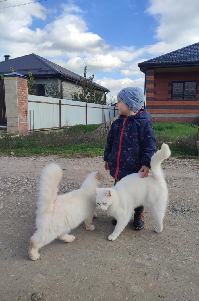 � ���������