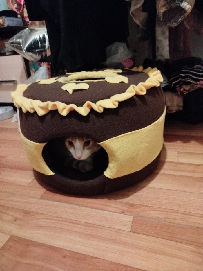 Ето ево домик!