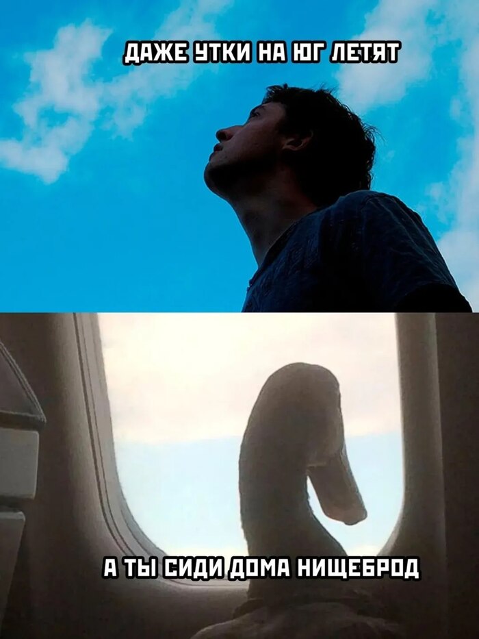 Не перелётная я птица...