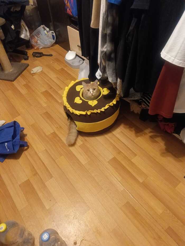 Сёма в домике