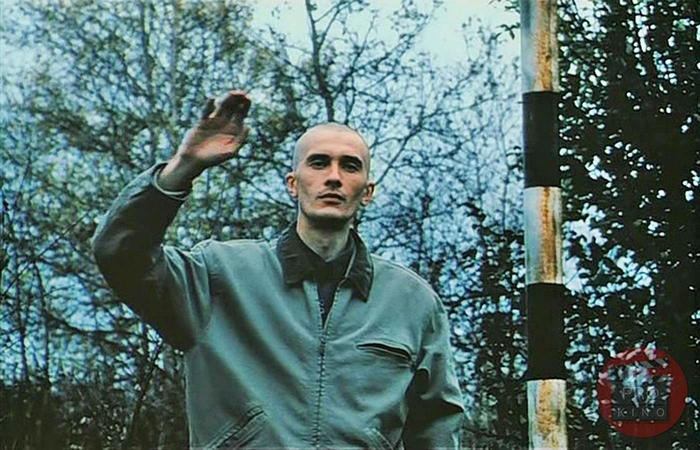 Бывайте, ихтиандры ...