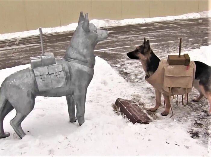 Ответ kugi в «"Что такое? Угомонитесь уже!"»