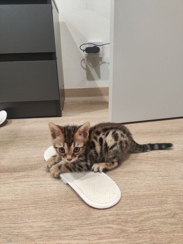 Спасибо за внимание )