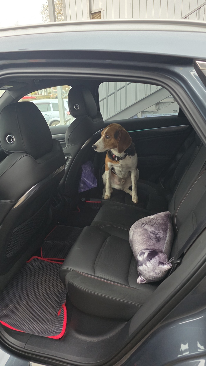 А что бы сделали вы?