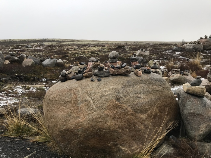    ,        ?     . ,  .