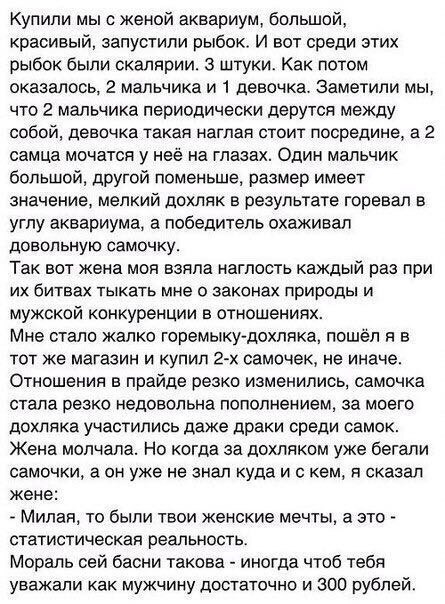 Про мужское и рыбок