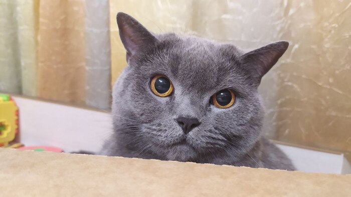    2012-2023 ,       ,        ))&nbsp;