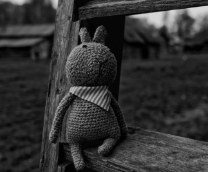 ������� ����