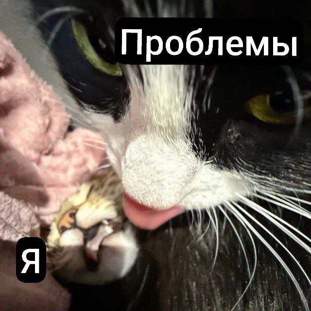 Я и мои проблемы