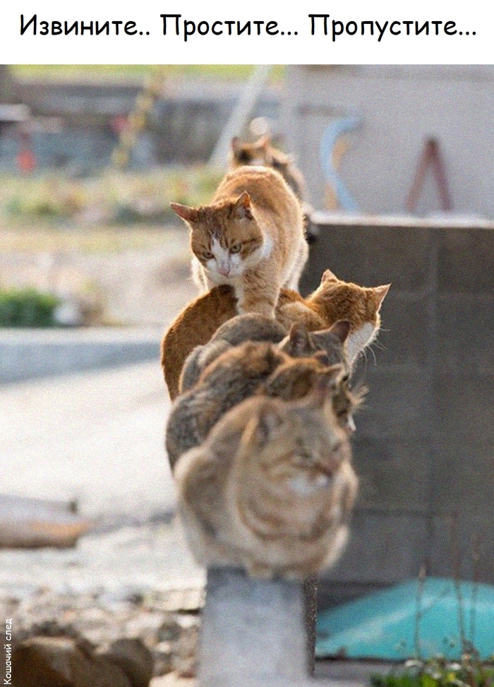 Мне только спросить