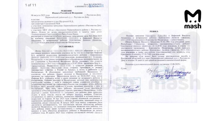 Что-то странное в Ростовском суде: ребёнка россиянки присудили гражданину недружественной страны