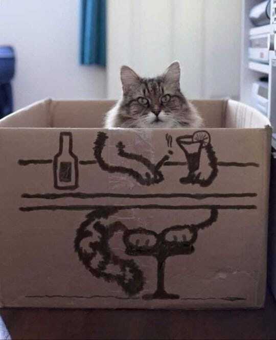 Все, как вы любите