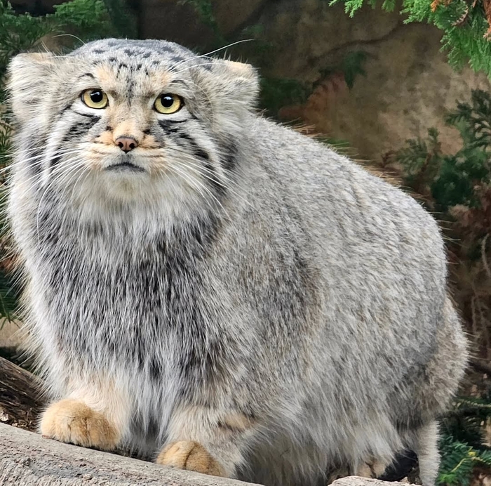 Завтракаете? А мне?