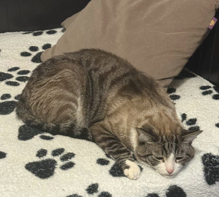 Вспомнил, что до пенсии еще далеко и приунылЬ