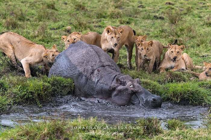 Ох, нелёгкая это работа