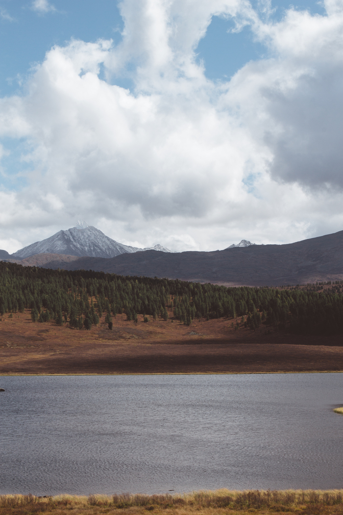 Где то на Алтае