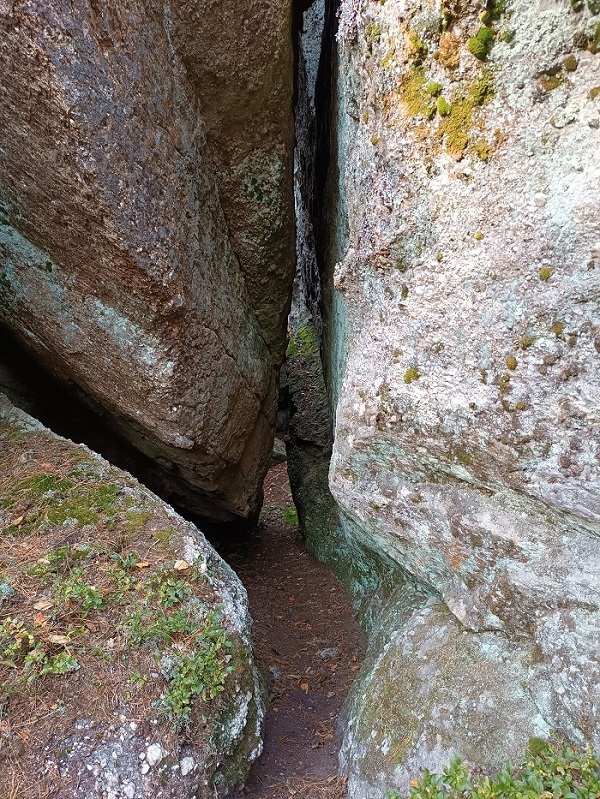 Фото: Вера Ершова