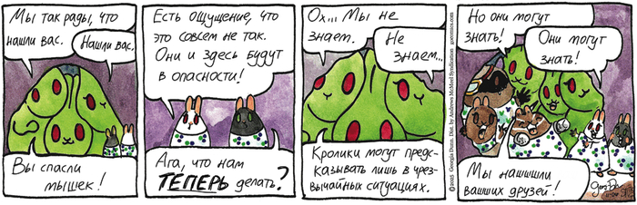 Котейкины Новости от 06.11.2025