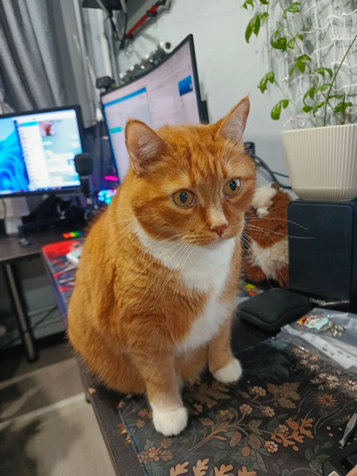 Little Bit News | Интересные новости про игры за последние дни для тех, кто устал следить и просто хочет поиграть после работы