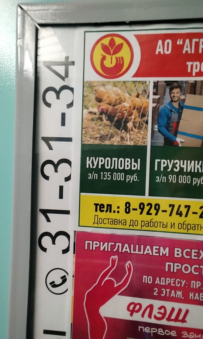 Как вам такая вакансия?