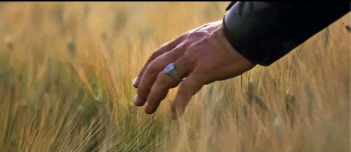 Теперь мы свободны...