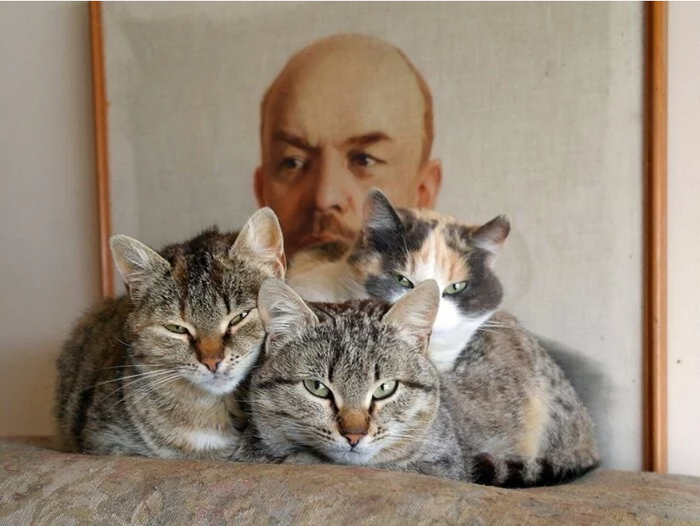 Котики поздравляют вас с годовщиной Великой Октябрьской революции