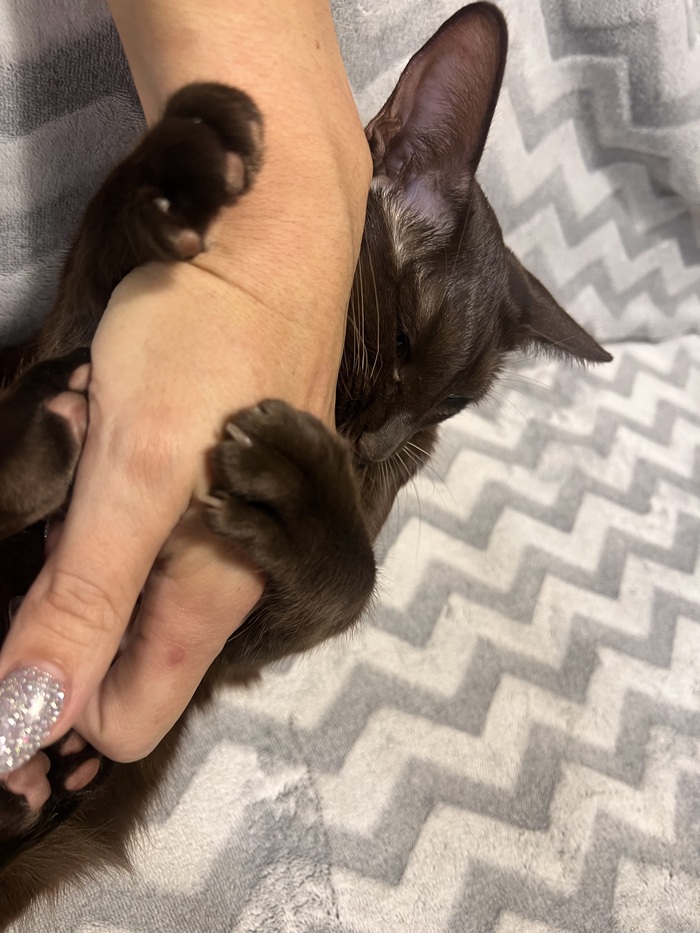 Наконец- то мама дома и впереди выходные!