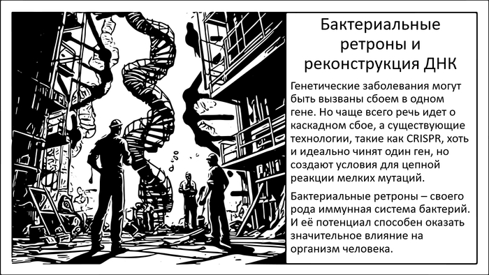 Бактериальные ретроны. Ключ к реконструкции нашей ДНК