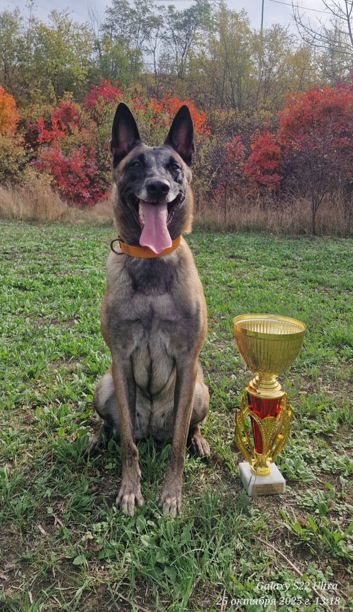 Ответ на пост «Покажи своего питомца!»
