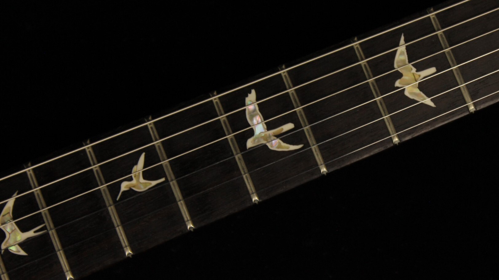 Птицы Пола Рида Смита - история культового гитарного символа - Моё, Музыка, Рок, Творческие люди, Гитара, Электрогитара, Prs Guitars, Музыканты, Длиннопост