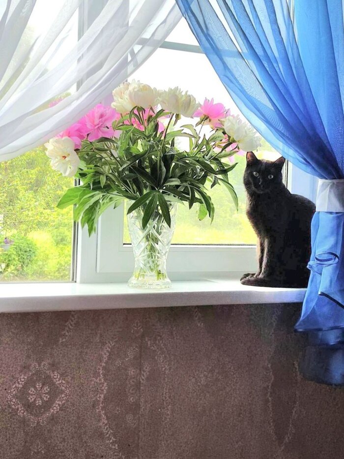     ,    -     (   ,  ).    &#x2764;