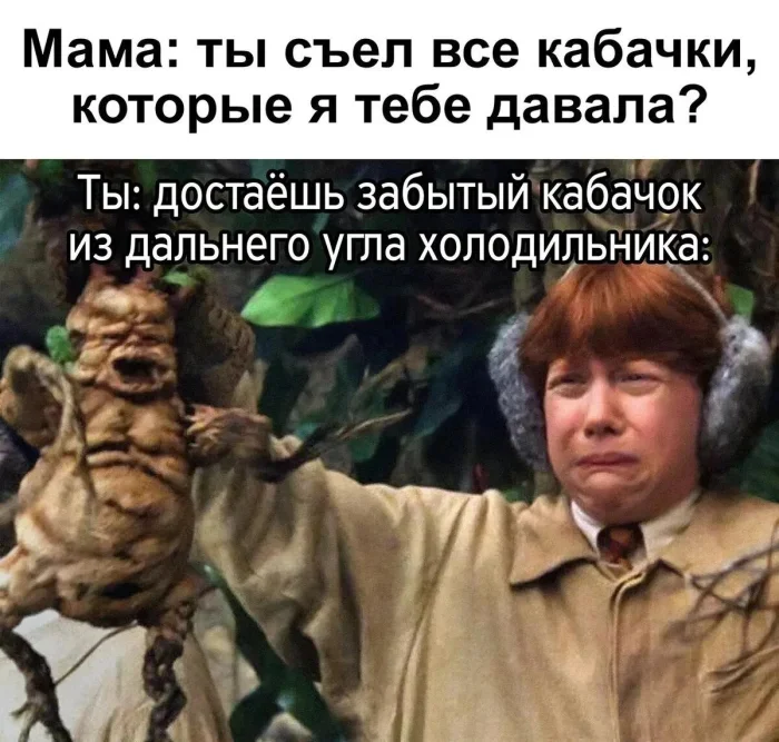 Мемы по Гарри Поттеру - Юмор, Картинка с текстом, Гарри Поттер, Длиннопост