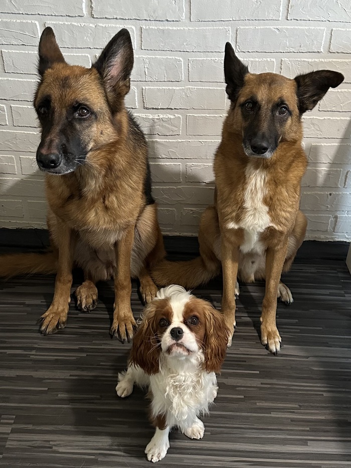 ����� �� ���� ������� ������ �������!�