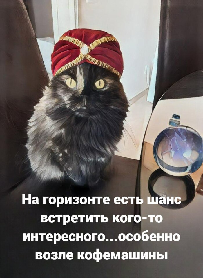 Предсказание от Марго, 10.11.2025