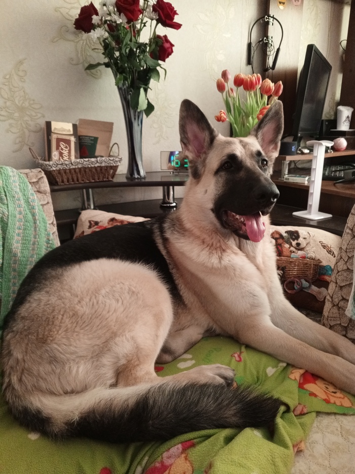 �������������� ������