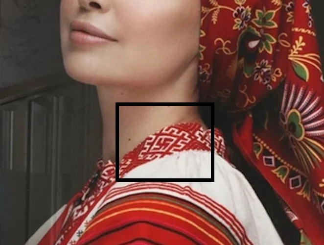 Mother Earth, white (Aryan) birch - Humor, Screenshot, Mother Earth (song), Swastika, Tatyana Kurtukova, Shaman (Yaroslav Dronov), Longpost