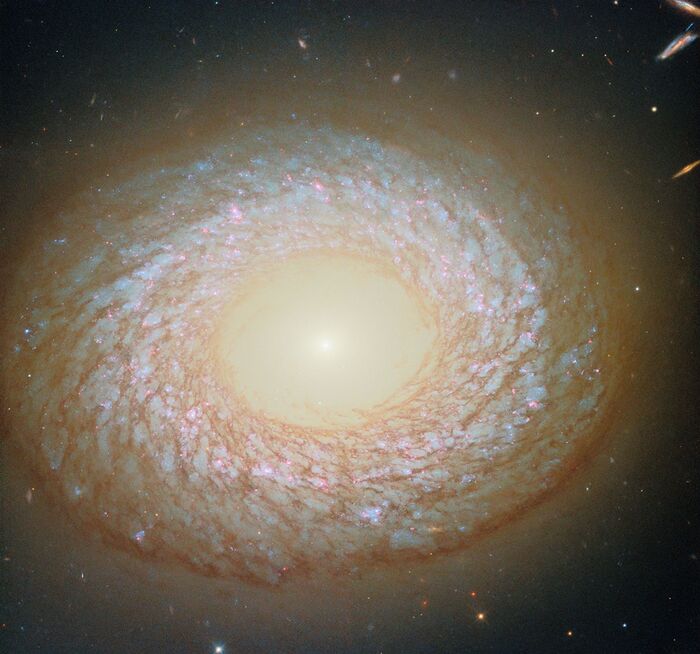  NGC 2775