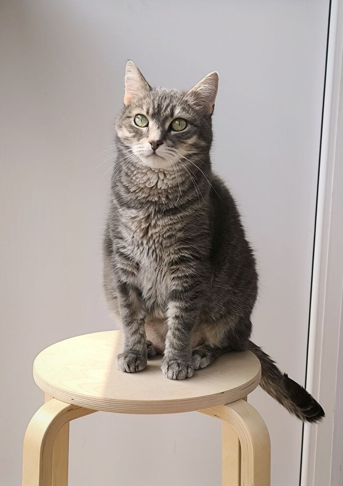 Сука, сядь нормально, для Пикабу фотаю!