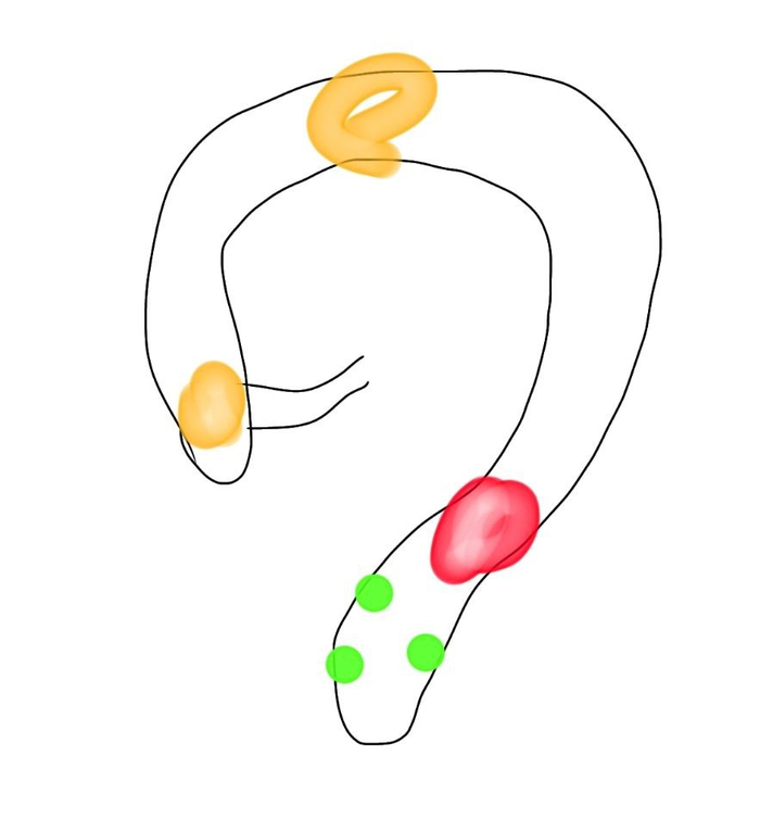  -   .  - . Ƹ - , ,  ,  .