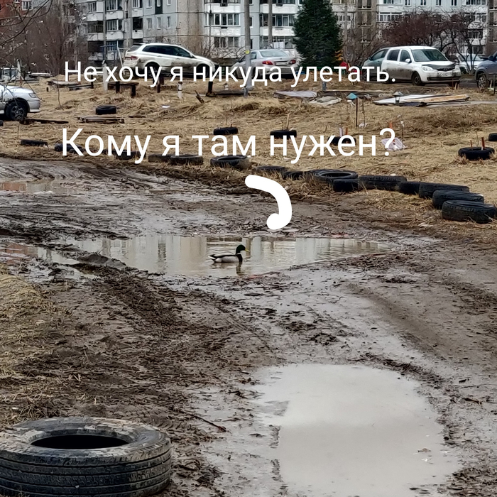 Как переехать в Британию? Основные потенциальные способы 2025-2026. Кому стоит сюда ехать и стоит ли вообще?