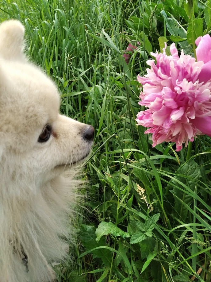 Ты был хорошим мальчиком.