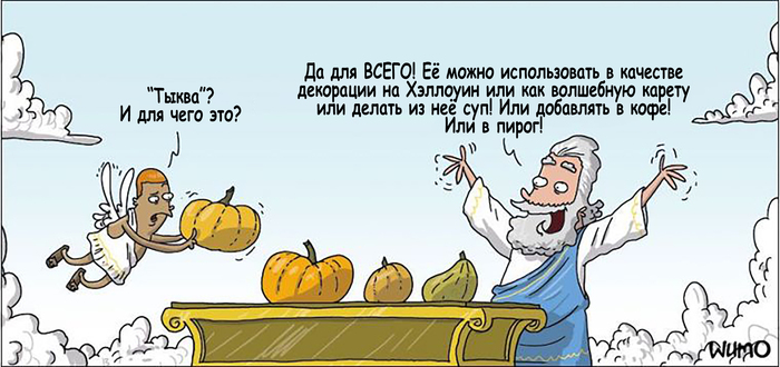 Тыква - это не просто тыква