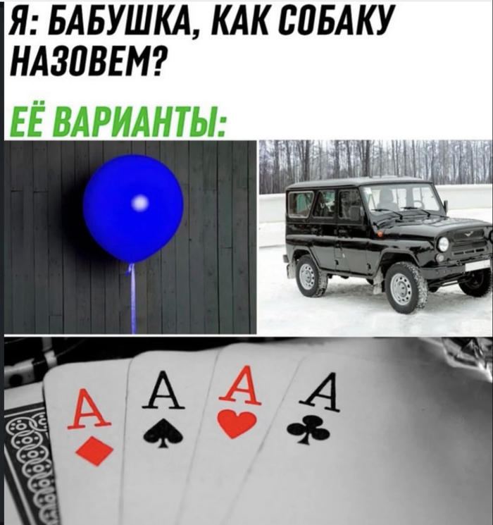 А как же Рекс?