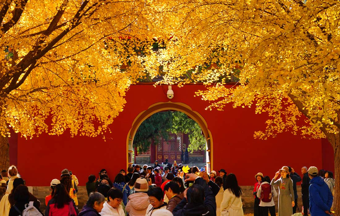 Осень в Пекине//Фото: Song Jiaru/VCG/Visual China Grou/ТАСС